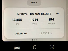 Tesla odometer 1 year