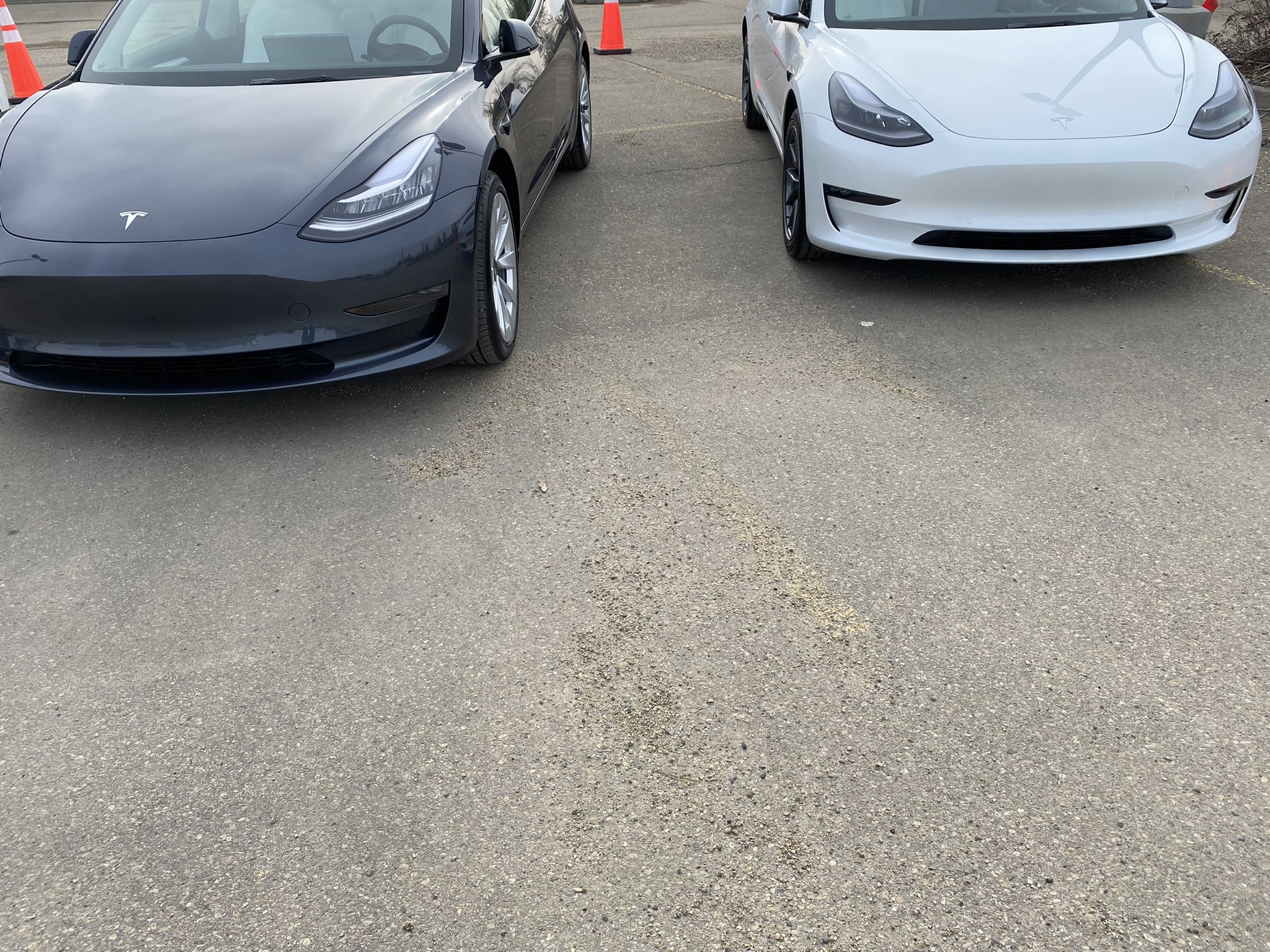 Tesla appears have reverted to using LED headlights in Model 3 builds - Drive Tesla