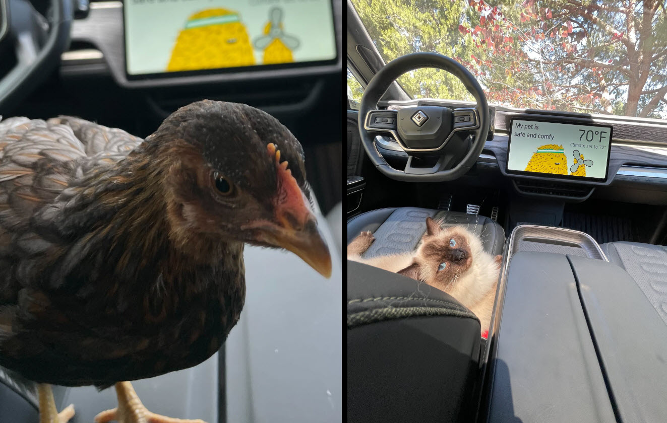 Rivian's new Pet Comfort mode keeps dogs, cats cool in vehicles