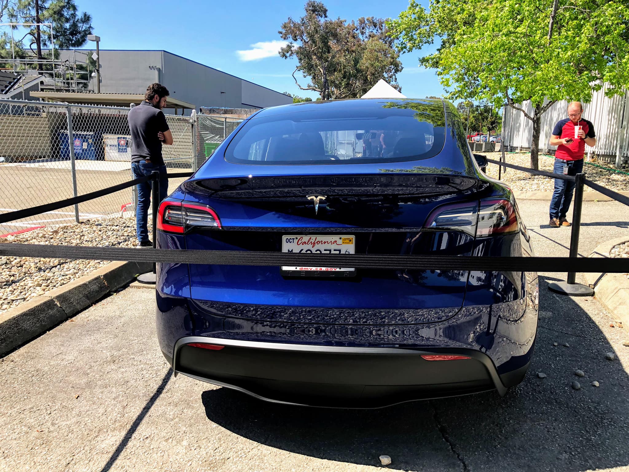 Blue Model Y