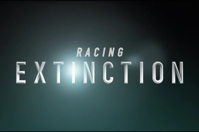 Racing Extinction