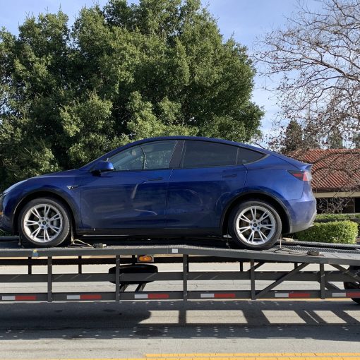 Blue Model Y