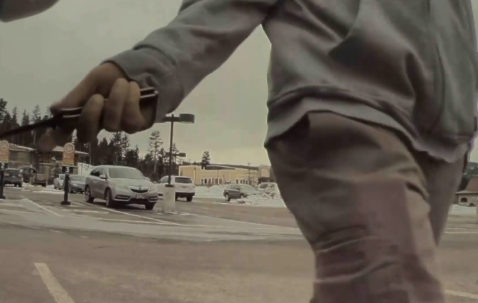 Tesla vandal Sentry Mode Colorado