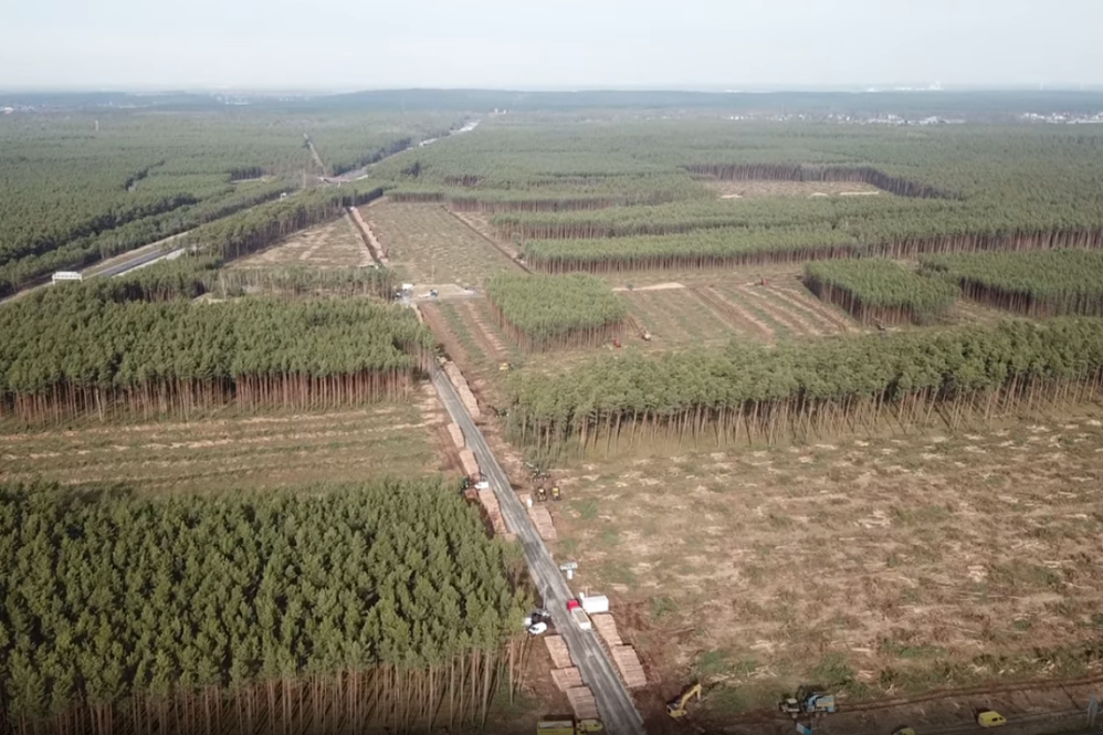 Gigafactory Berlin tree clearing