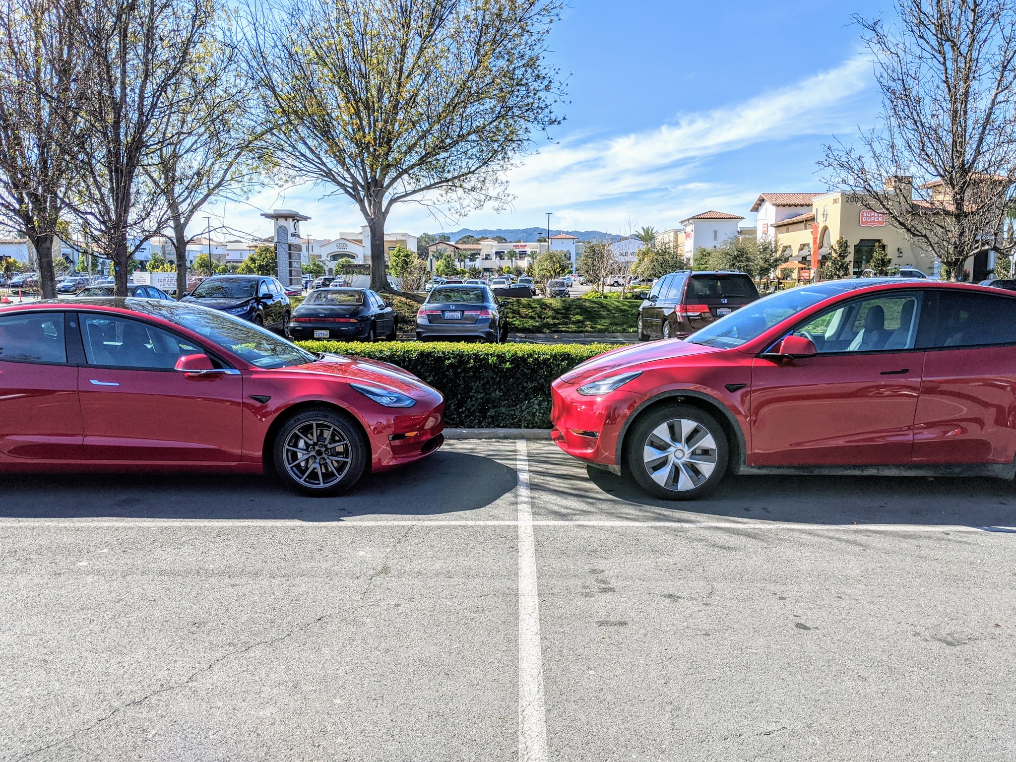 Red Model 3 and Model Y California