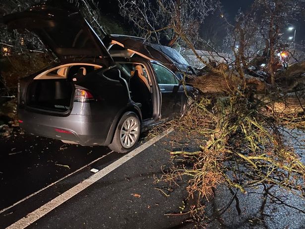 Two Model X after tree crashes