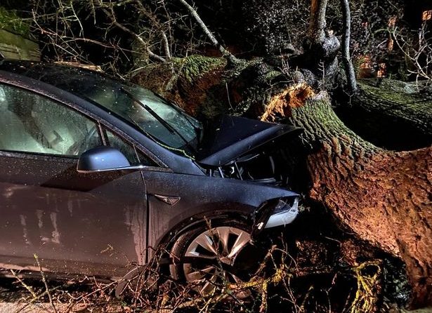 Two Model X after tree crashes