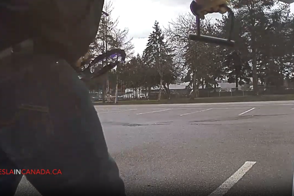 Tesla Sentry Mode window smash attempt