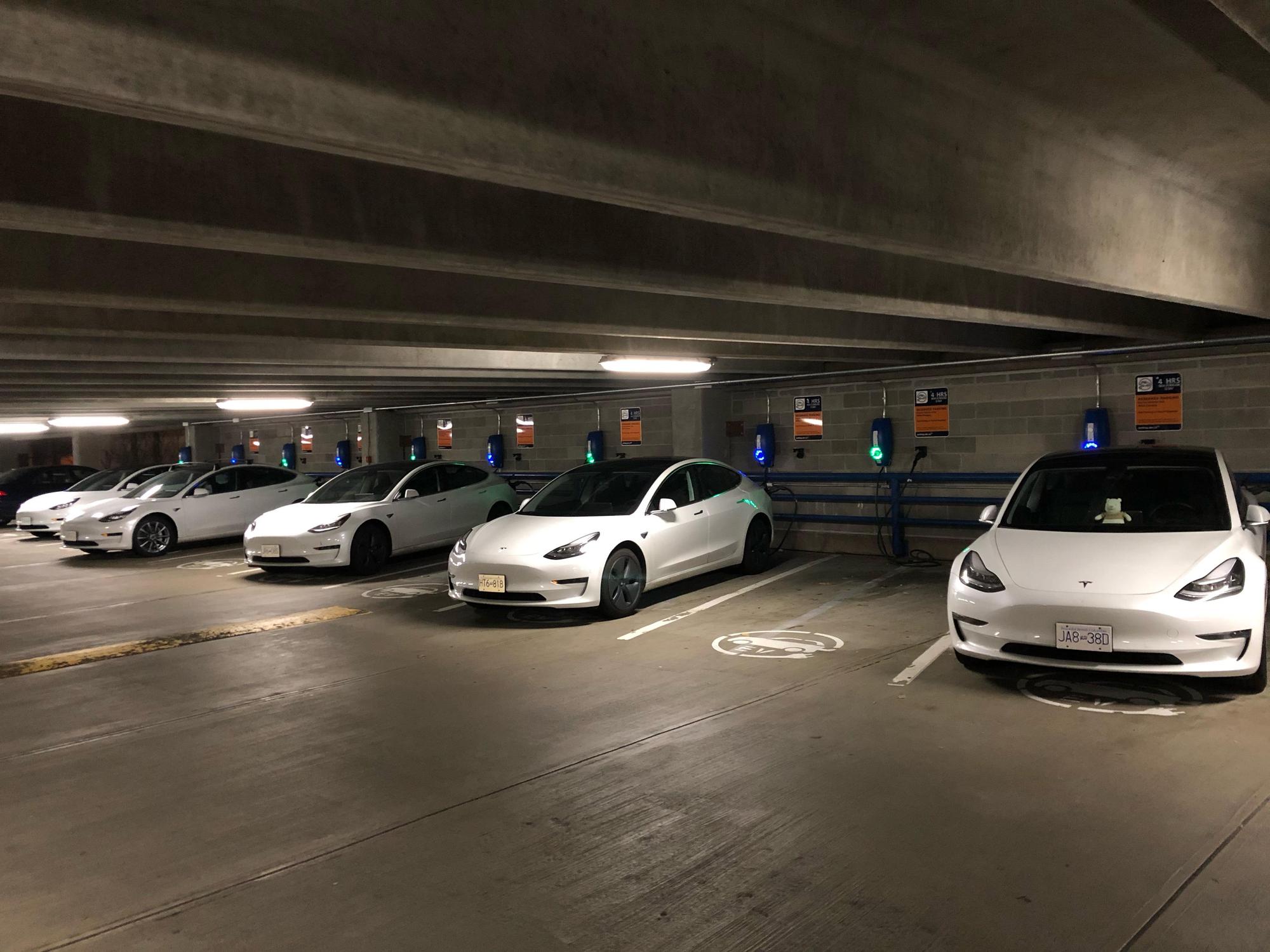 UBC EV Parking Teslas