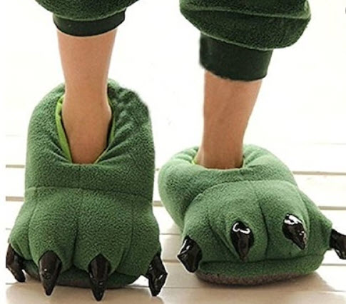 Dinosaur slippers