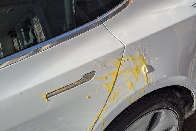 Tesla Model 3 egging Hamilton Ontario