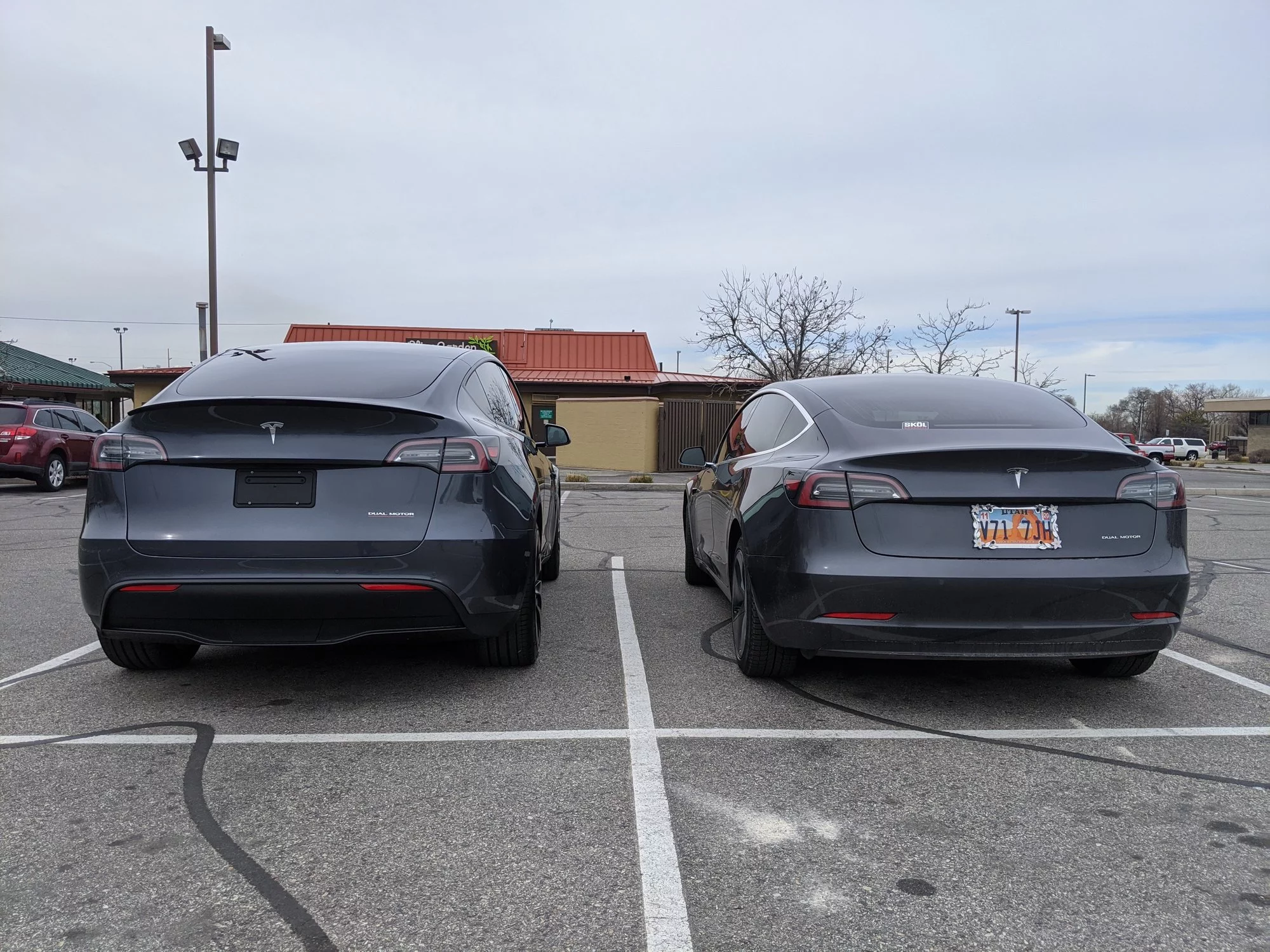 Tesla Model Y Model 3 rear