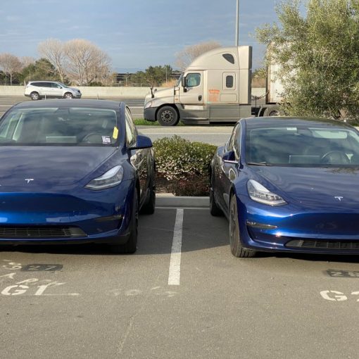 Tesla Model Y and Model 3