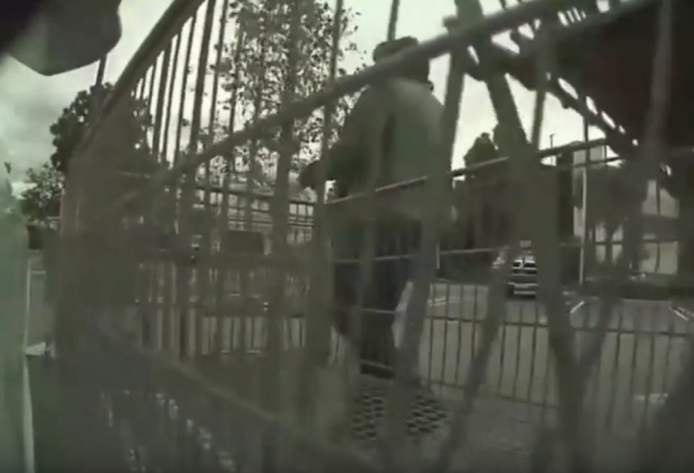 Tesla Sentry Mode Suspect Glendale CA