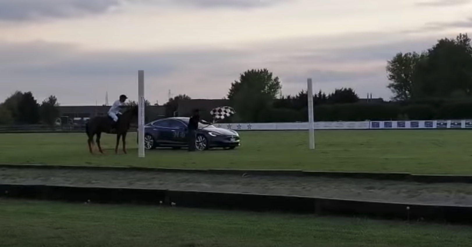 Tesla Model S vs a horse
