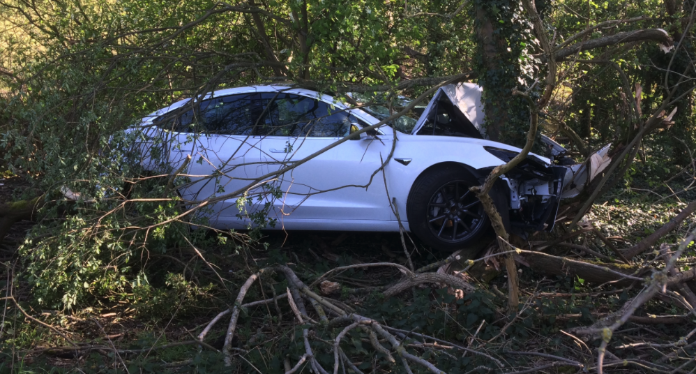 Tesla Model 3 crash into tree 4