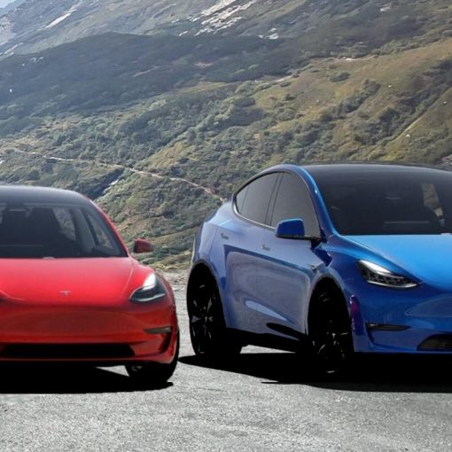 Tesla Model 3 and Model Y