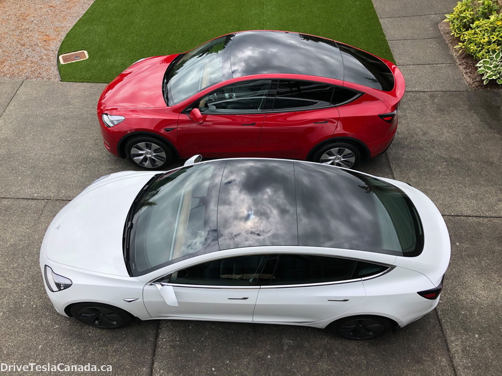 Tesla Model Y vs Model 3 top side