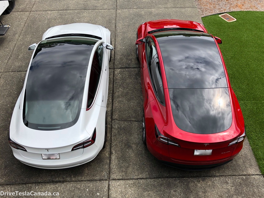 Tesla Model Y vs Model 3 top