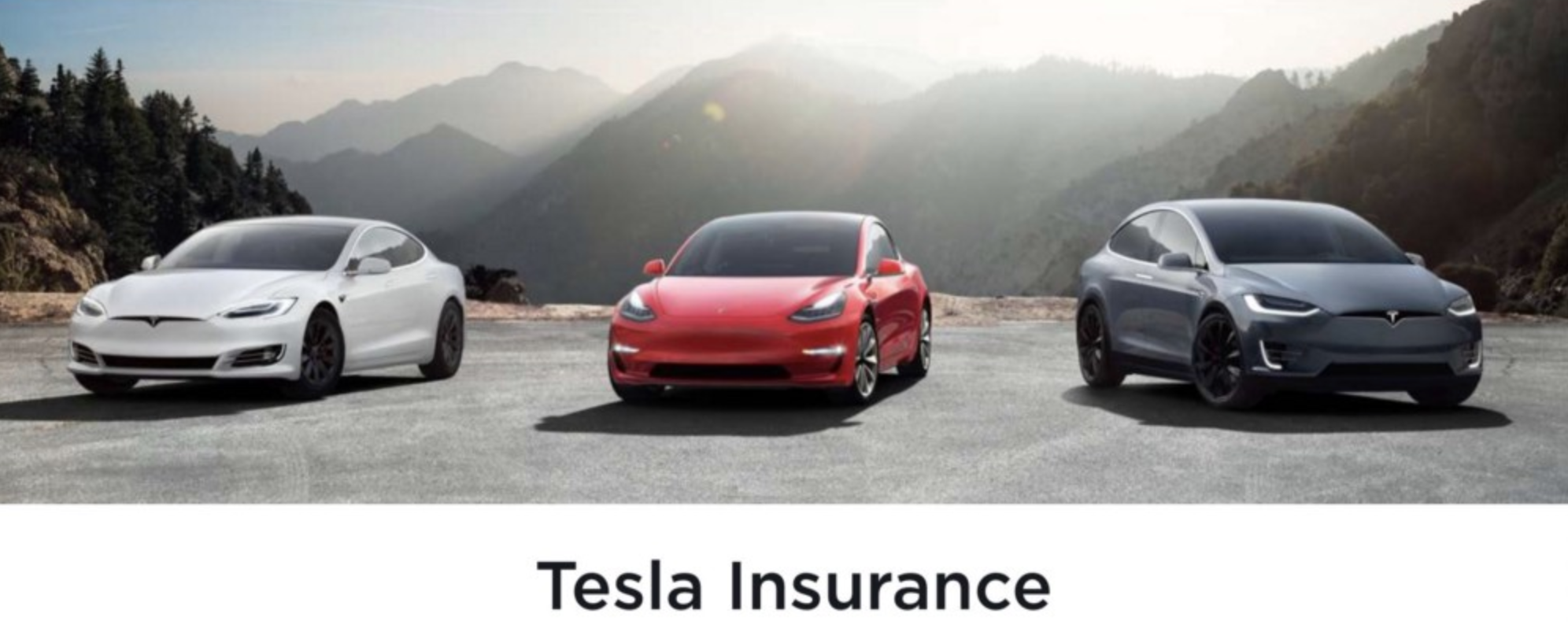 Tesla insurance