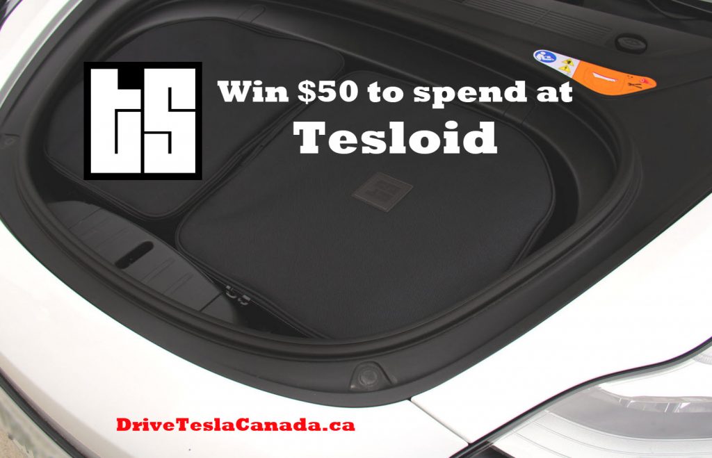 Tesloid giveaway