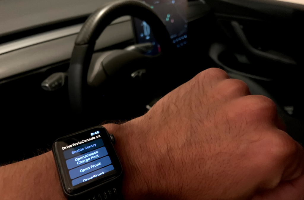 Tesla Stats App Apple Watch