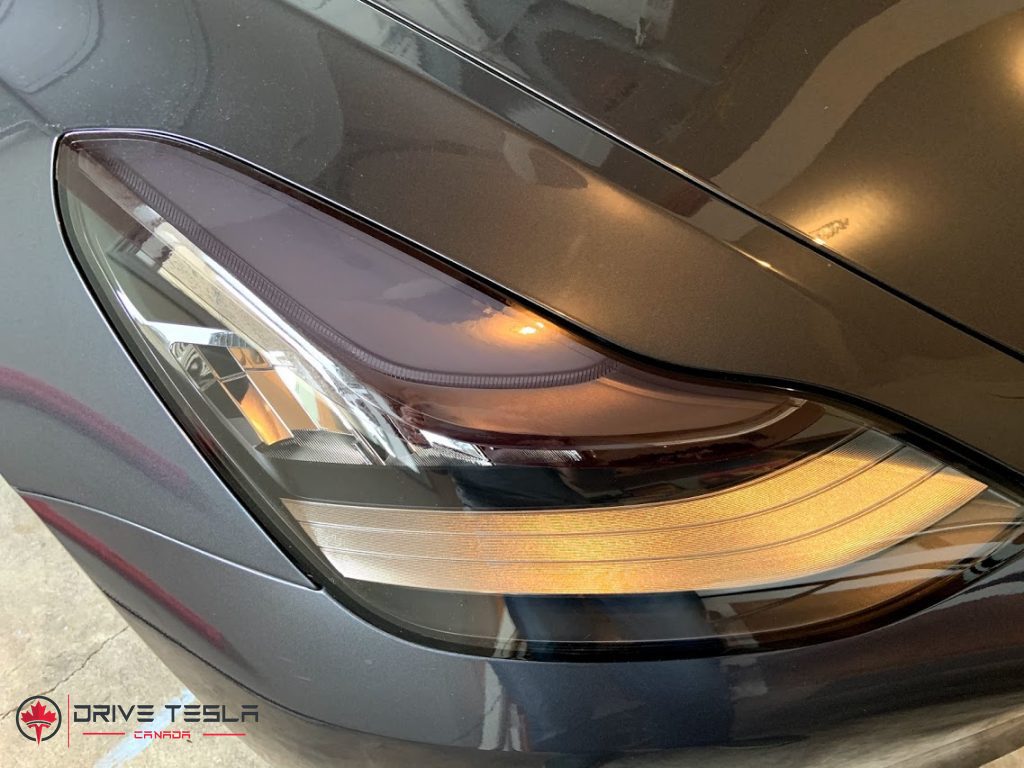 Tesla Model 3 Lamin-X eyelids