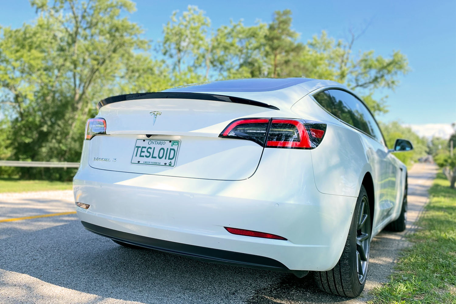 Tesloid Model 3 Performance Spoiler