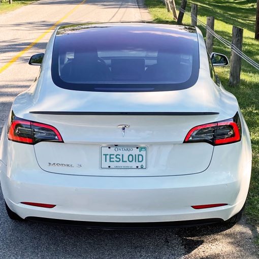 Tesloid Model 3 Performance Spoiler