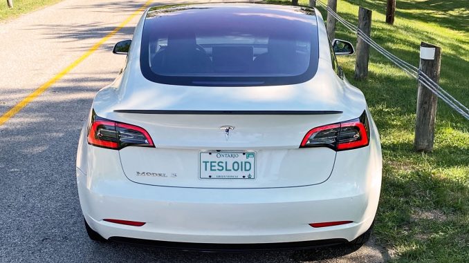 Tesloid Model 3 Performance Spoiler