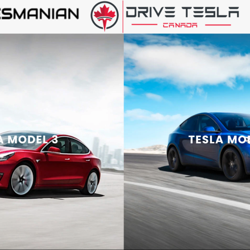 Tesmanian discount code