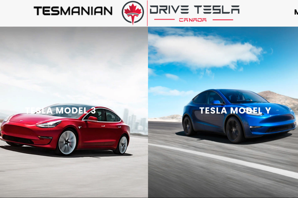 Tesmanian discount code