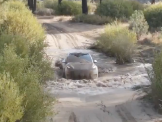 Tesla Model Y off-roading