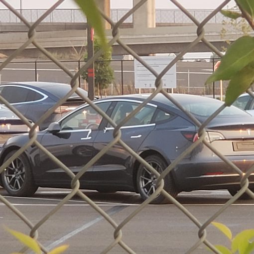 Tesla Model 3 with factory black trim
