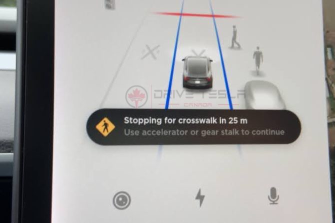 Tesla stopping for crosswalk DTC