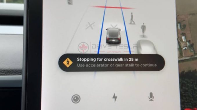 Tesla stopping for crosswalk DTC