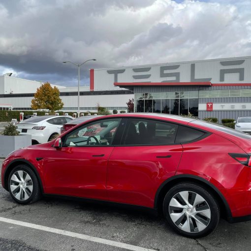 Model Y Fremont