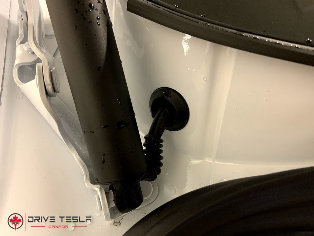 Refresh Model 3 trunk strut