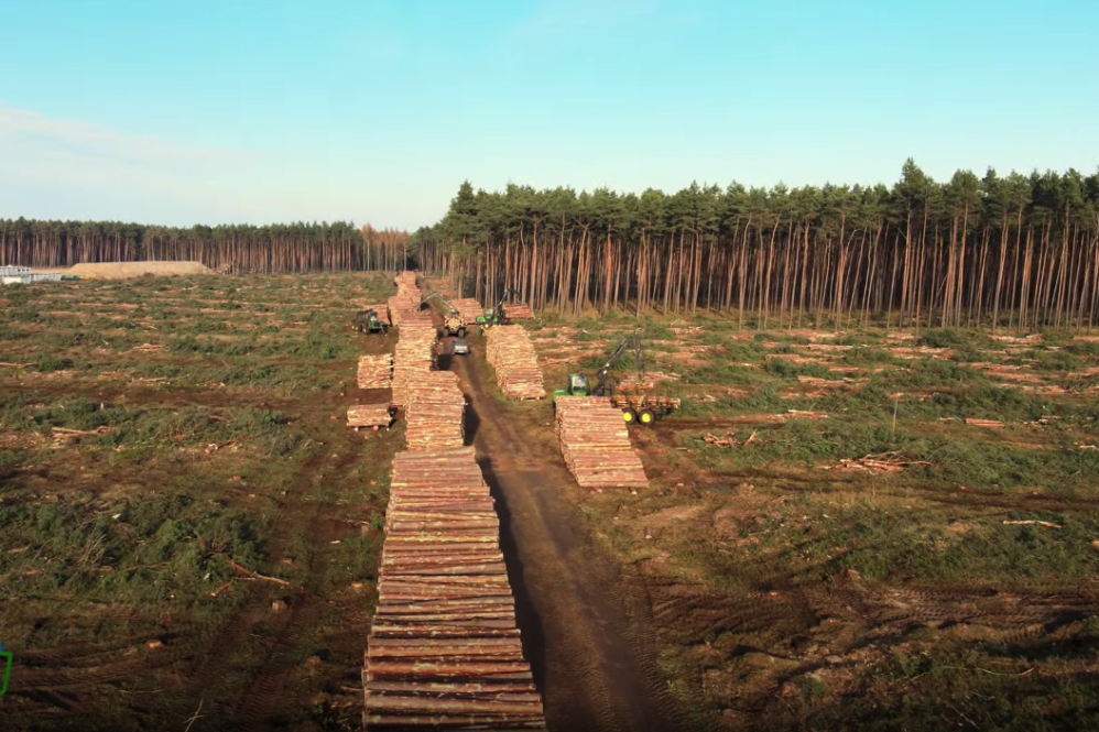 Giga Berlin tree farm 2