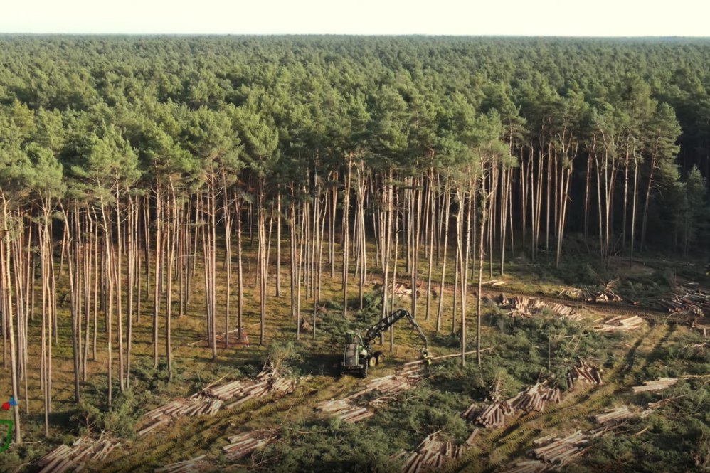Giga Berlin tree farm