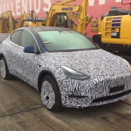 Model Y Port of Tacoma