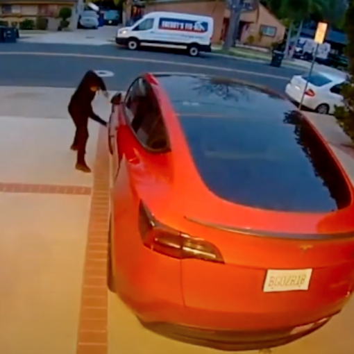 Model Y hammer vandal