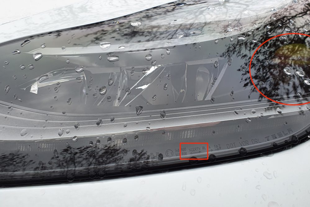 New headlights XCERTV