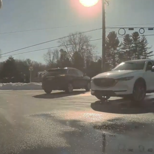 Smart Summon reaction