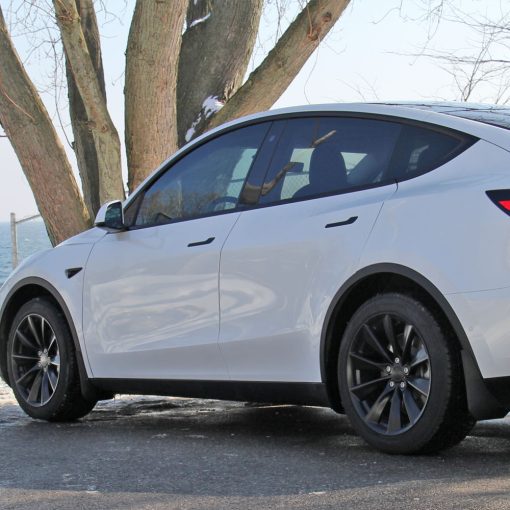 Tesloid Model Y mud flaps