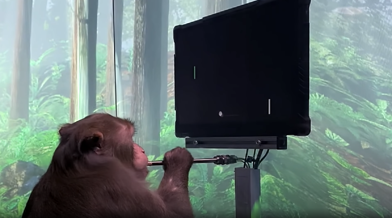 Neuralink releases impressive video of monkey playing Pong with just