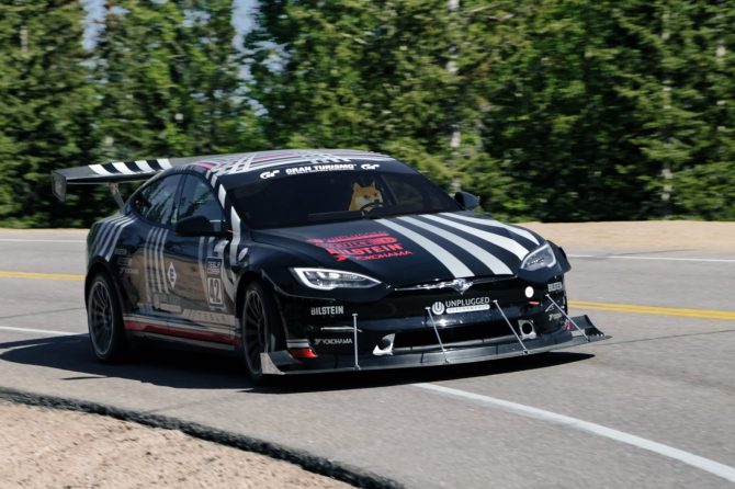 UP Model S Plaid Doge