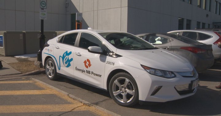electric-vehicle-sales-in-new-brunswick-increase-350-after
