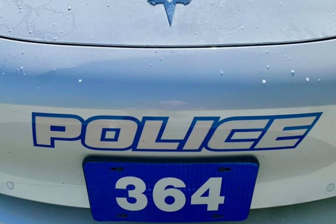 Rosendale Tesla police car
