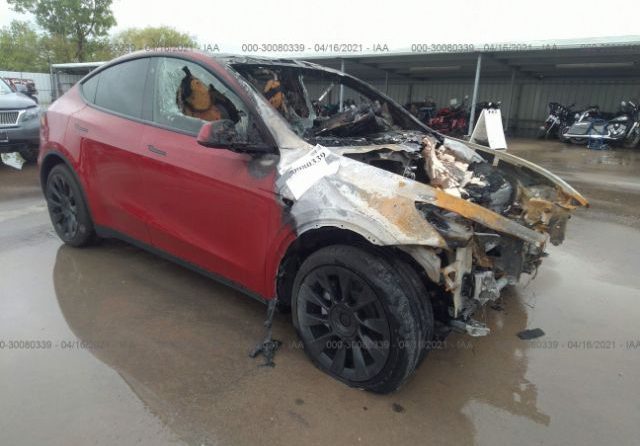 Model Y dallas